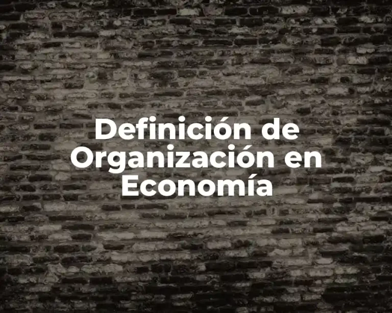 Definición de Organización en Economía