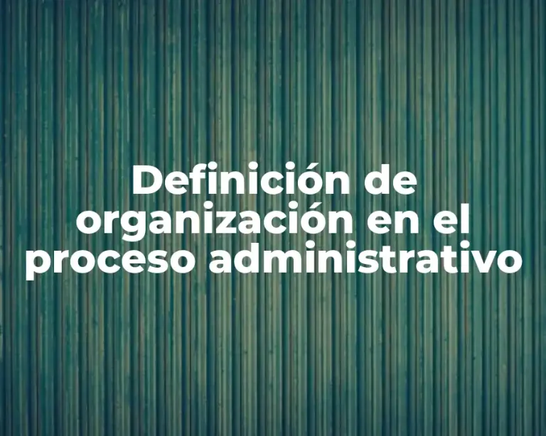 Definición de organización en el proceso administrativo