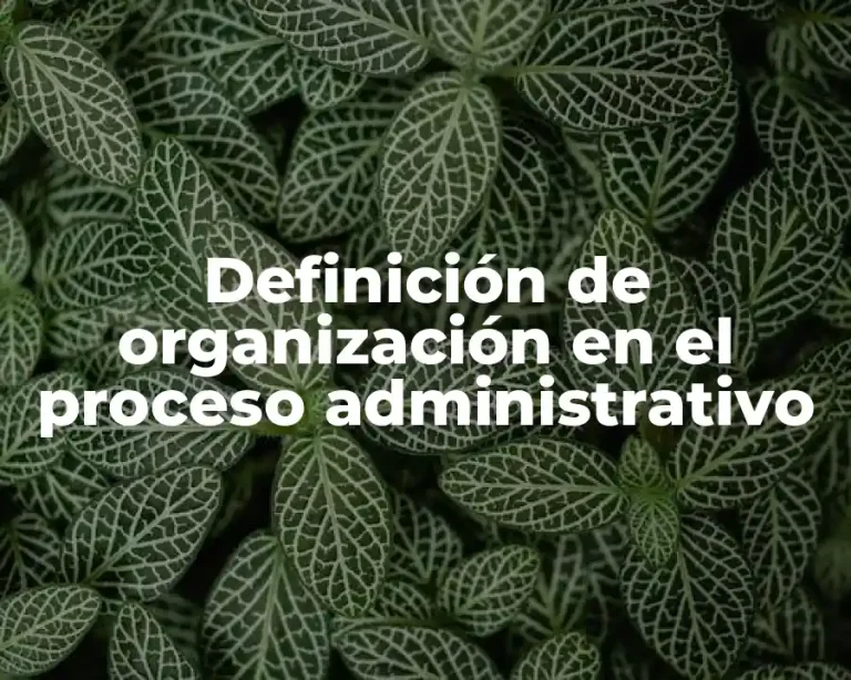 Definición de organización en el proceso administrativo