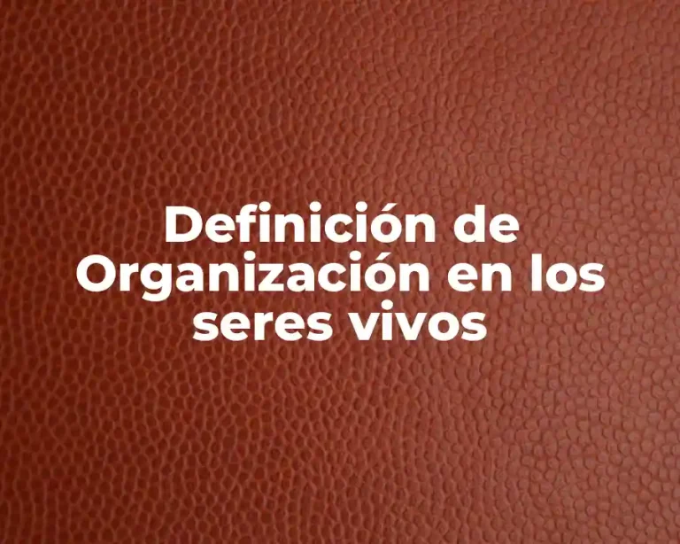 Definición de Organización en los seres vivos