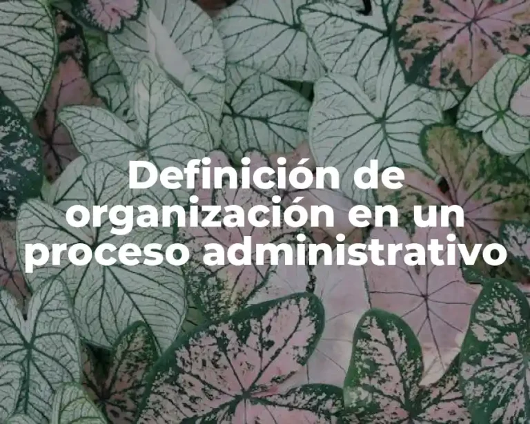 Definición de organización en un proceso administrativo