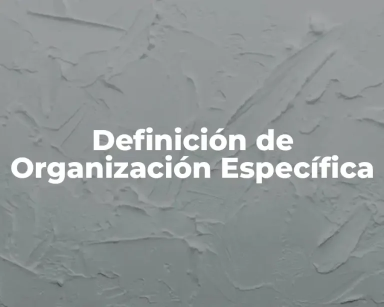 Definición de Organización Específica