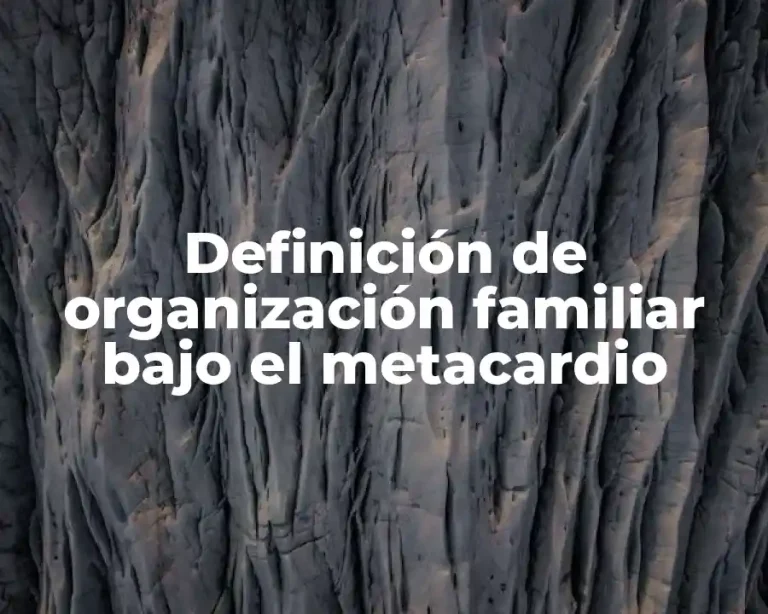 Definición de organización familiar bajo el metacardio