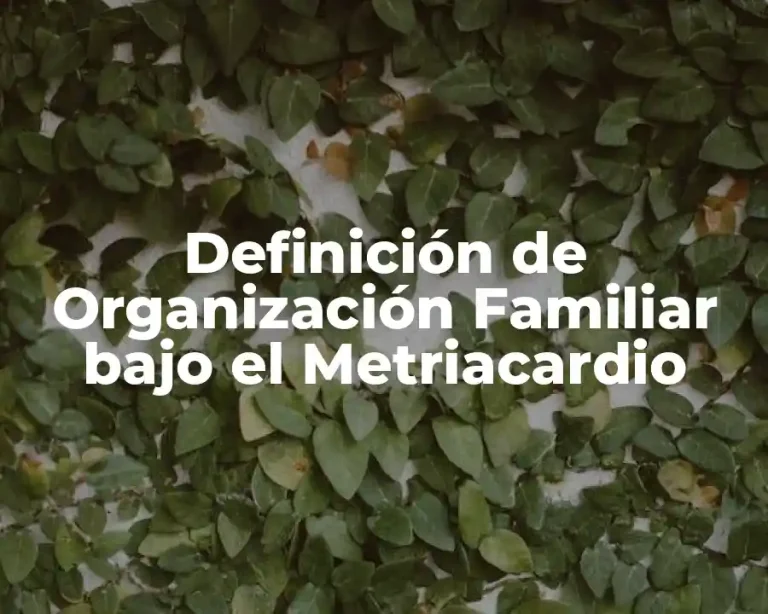 Definición de Organización Familiar bajo el Metriacardio