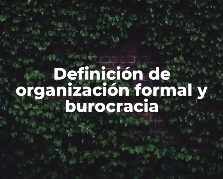 Definición de organización formal y burocracia