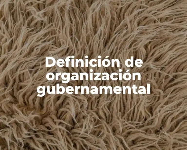 Definición de organización gubernamental