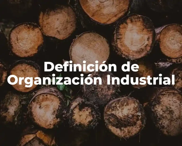 Definición de Organización Industrial