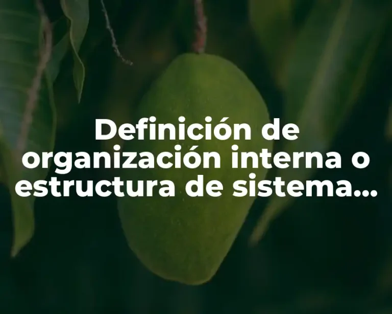 Definición de organización interna o estructura de sistema operativo