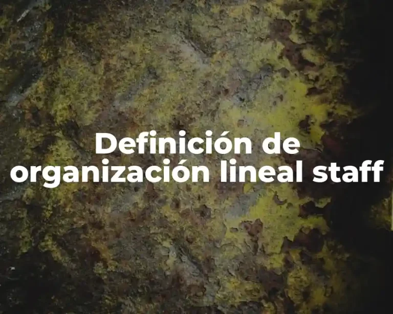 Definición de organización lineal staff