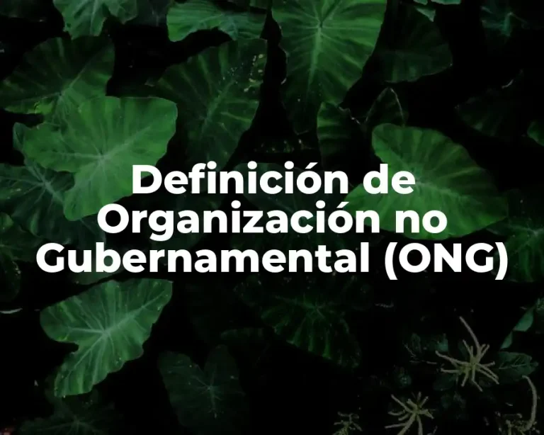 Definición de Organización no Gubernamental (ONG)