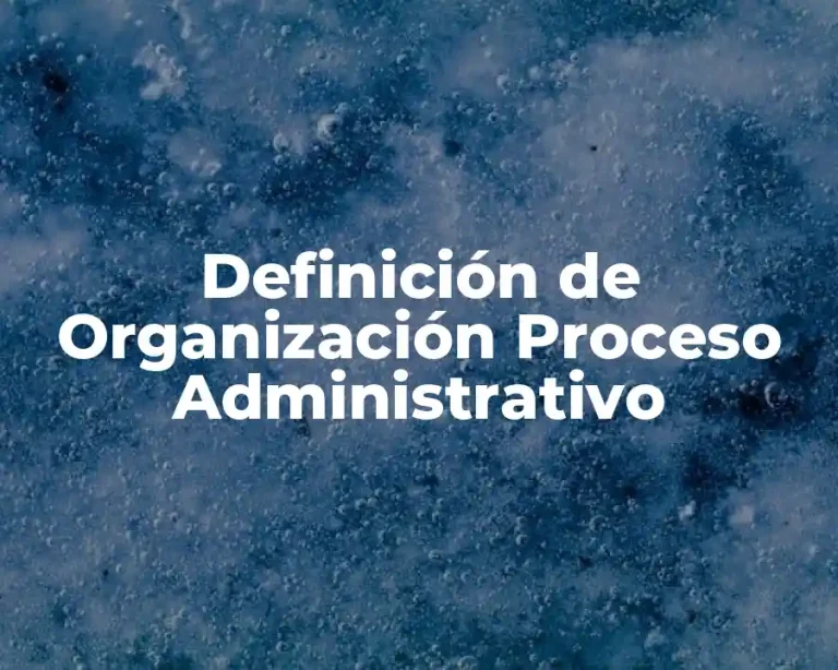 Definición de Organización Proceso Administrativo