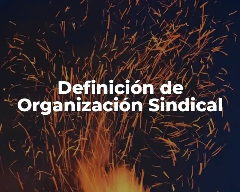 Definición de Organización Sindical
