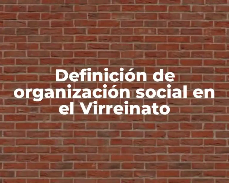 Definición de organización social en el Virreinato