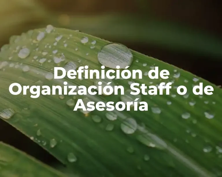 Definición de Organización Staff o de Asesoría