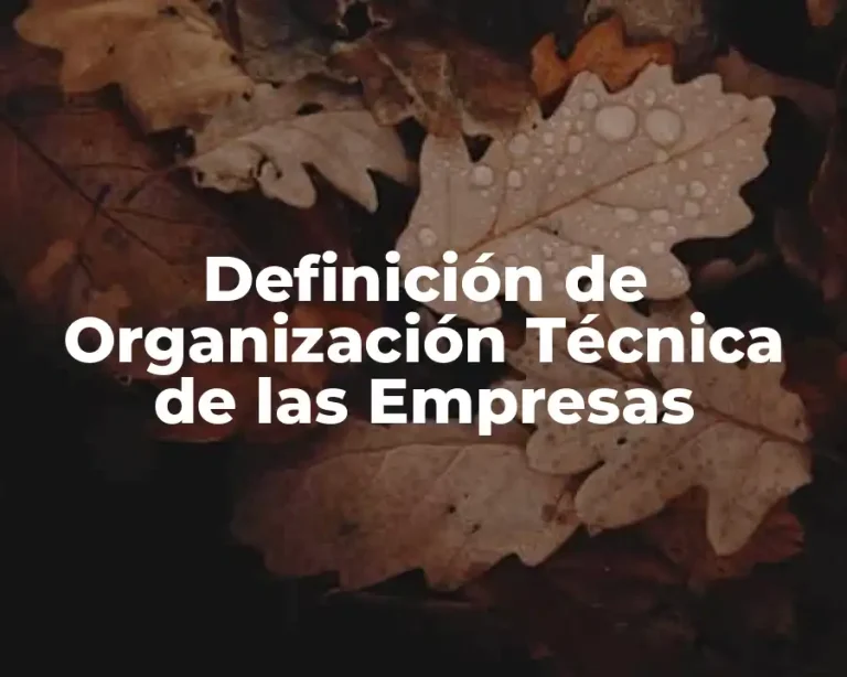 Definición de Organización Técnica de las Empresas