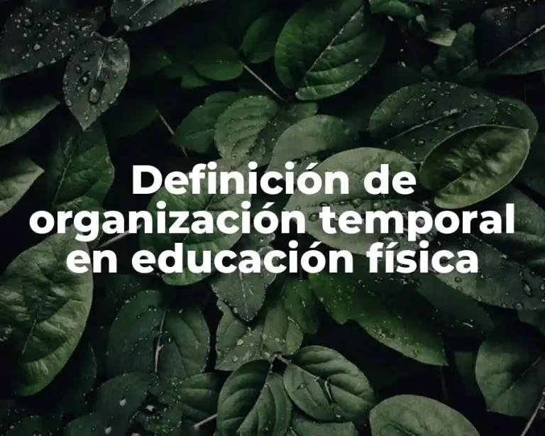 Definición de organización temporal en educación física