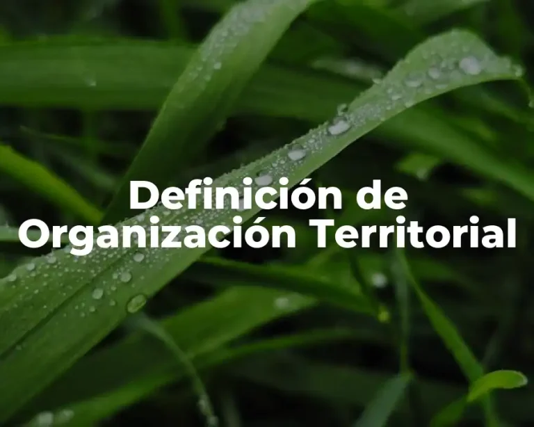 Definición de Organización Territorial