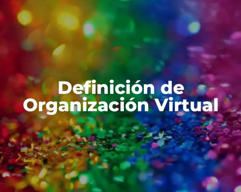 Definición de Organización Virtual