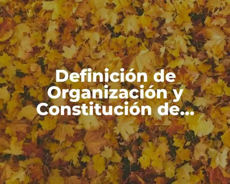 Definición de Organización y Constitución de Empresas