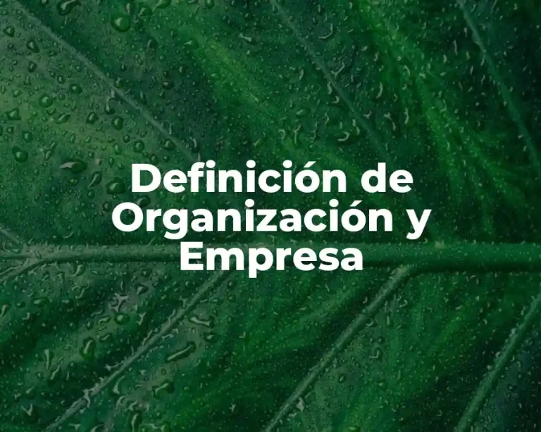 Definición de Organización y Empresa