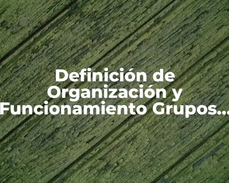Definición de Organización y Funcionamiento Grupos Familiares