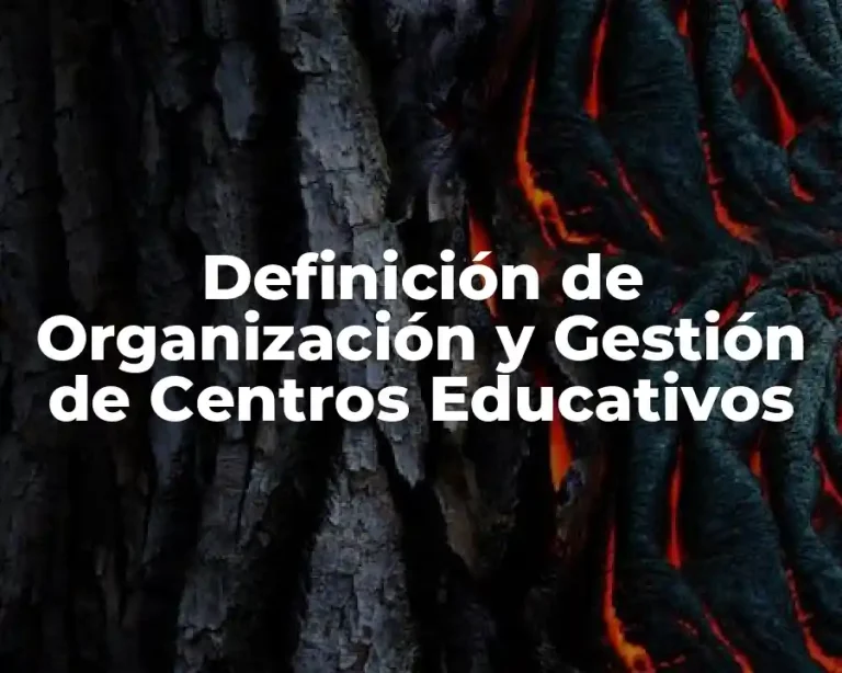 Definición de Organización y Gestión de Centros Educativos