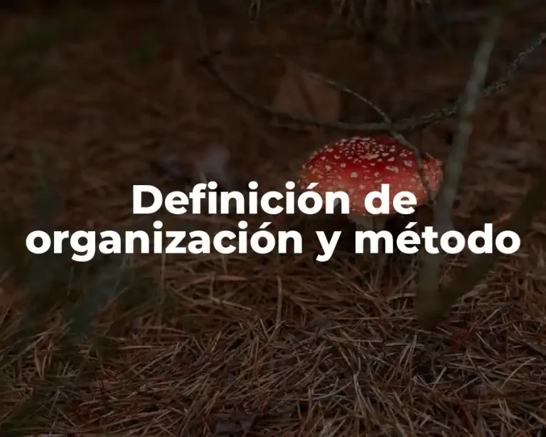 Definición de organización y método