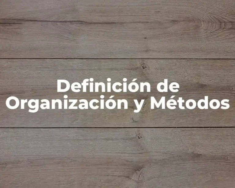 Definición de Organización y Métodos