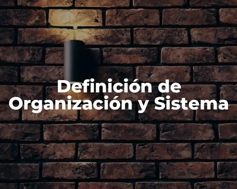 Definición de Organización y Sistema