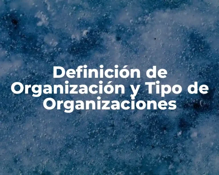 Definición de Organización y Tipo de Organizaciones