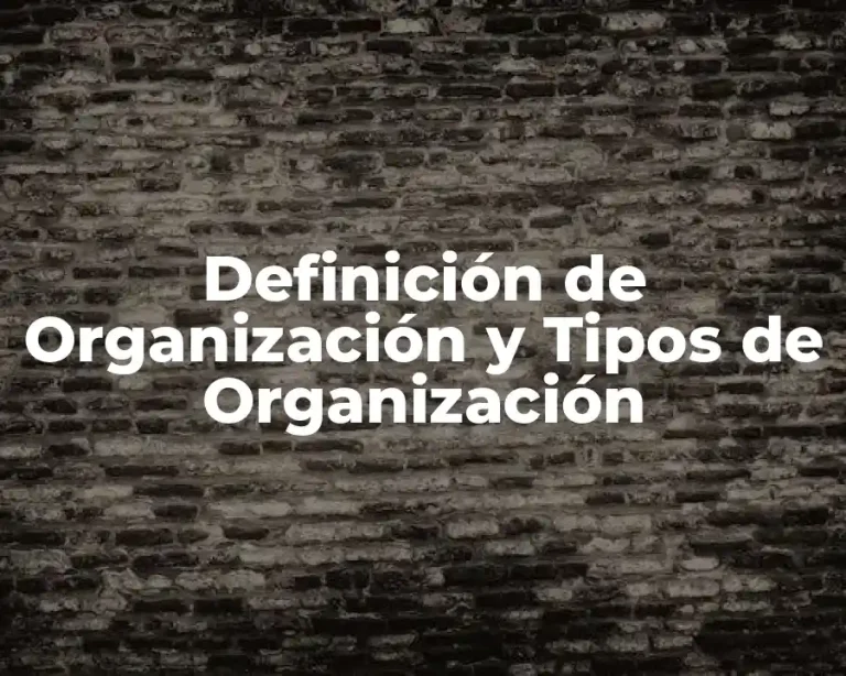 Definición de Organización y Tipos de Organización
