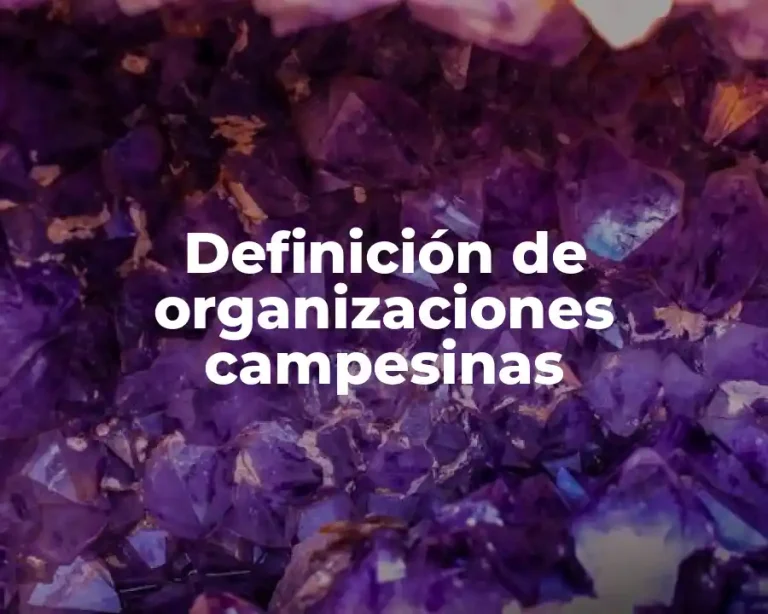 Definición de organizaciones campesinas