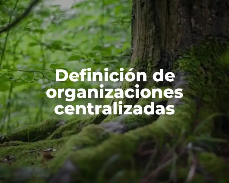 Definición de organizaciones centralizadas