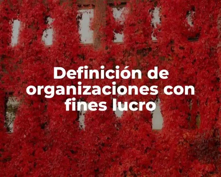 Definición de organizaciones con fines lucro