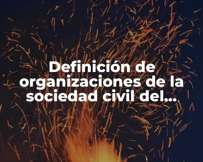 Definición de organizaciones de la sociedad civil del cuidado ambiental