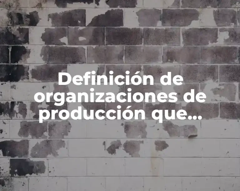 Definición de organizaciones de producción que transforman su materia prima