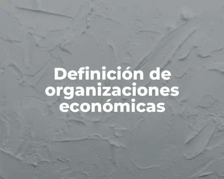 Definición de organizaciones económicas