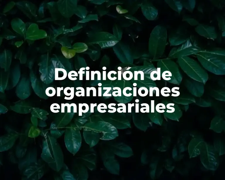 Definición de organizaciones empresariales