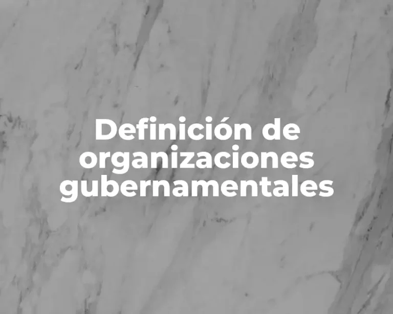 Definición de organizaciones gubernamentales