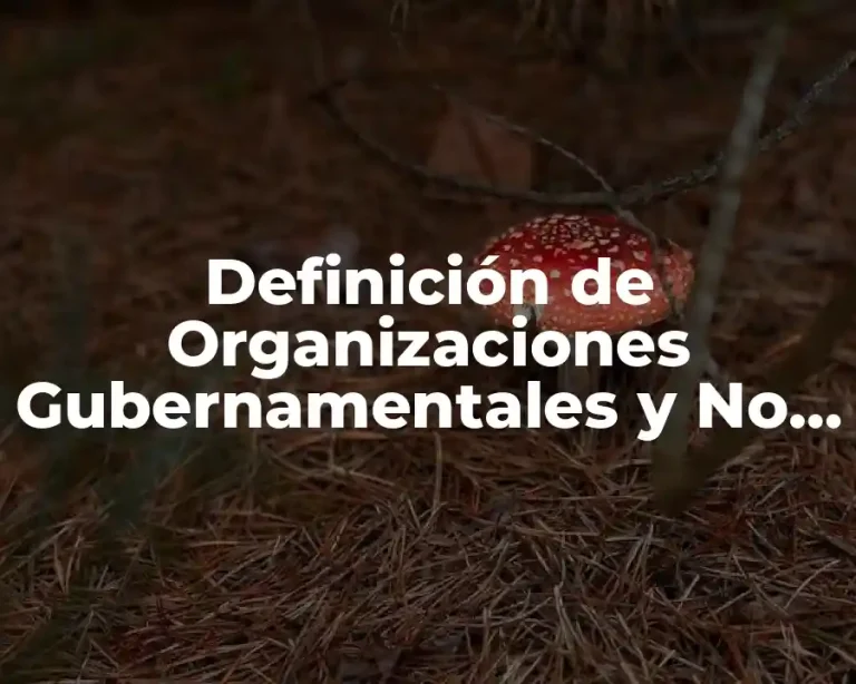 Definición de Organizaciones Gubernamentales y No Gubernamentales