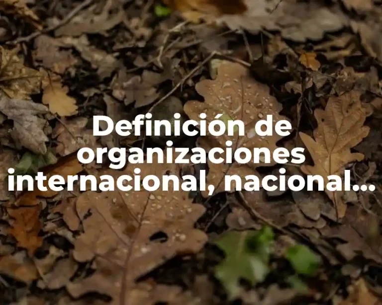 Definición de organizaciones internacional, nacional, regional y local