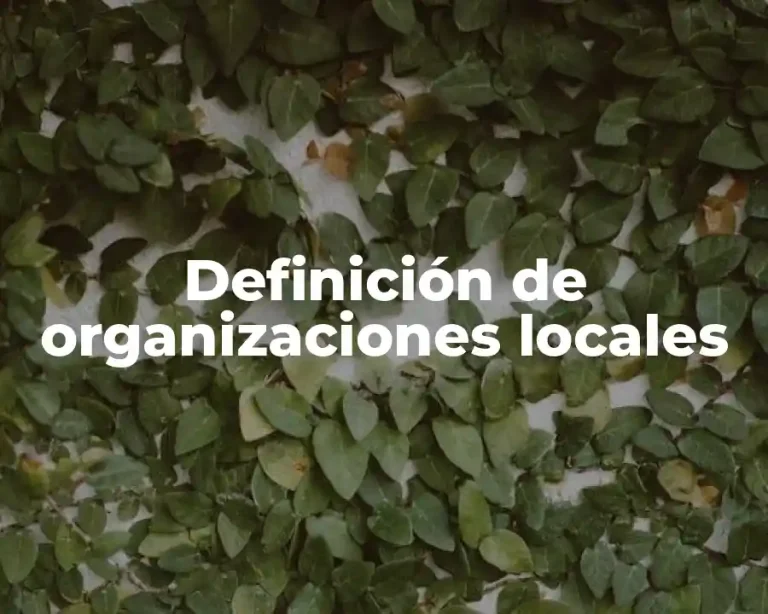 Definición de organizaciones locales