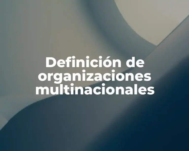 Definición de organizaciones multinacionales