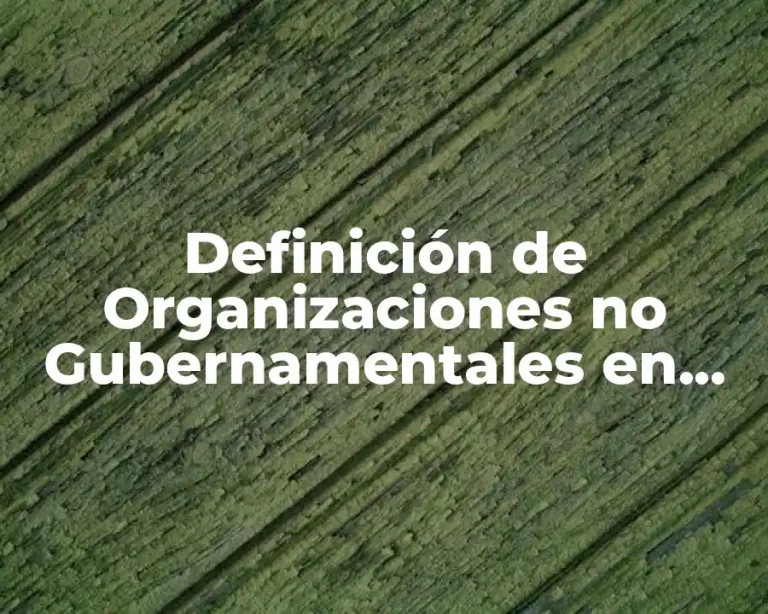 Definición de Organizaciones no Gubernamentales en México