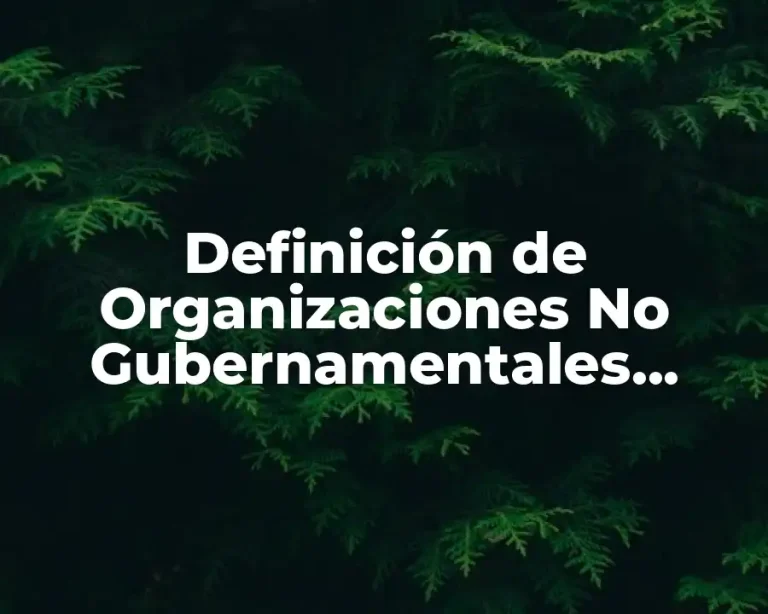 Definición de Organizaciones No Gubernamentales (ONG)