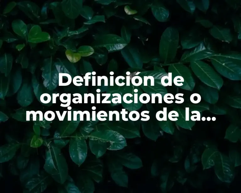Definición de organizaciones o movimientos de la sociedad civil recientes