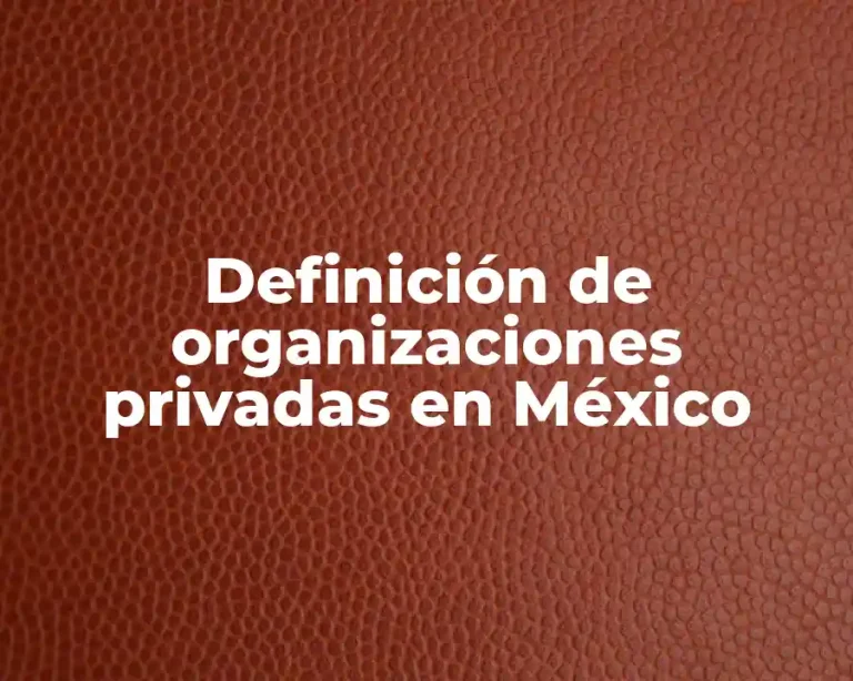 Definición de organizaciones privadas en México