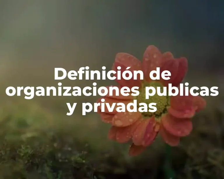 Definición de organizaciones publicas y privadas