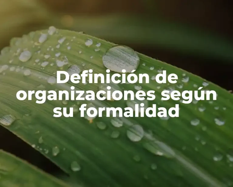 Definición de organizaciones según su formalidad