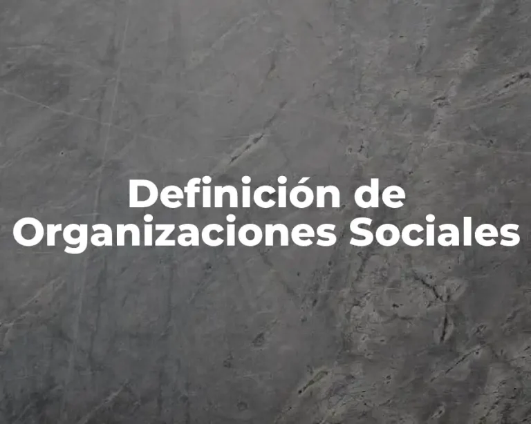 Definición de Organizaciones Sociales